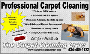 Professional Carpet Cleaning