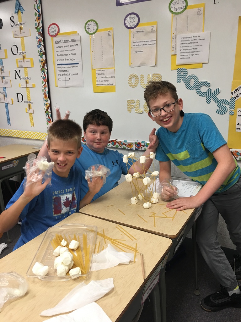 Boys completing 6th grade science experiment