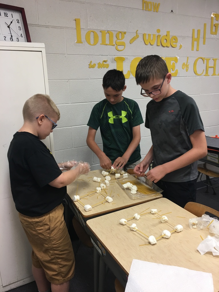 Boys completing 6th grade science experiment 
